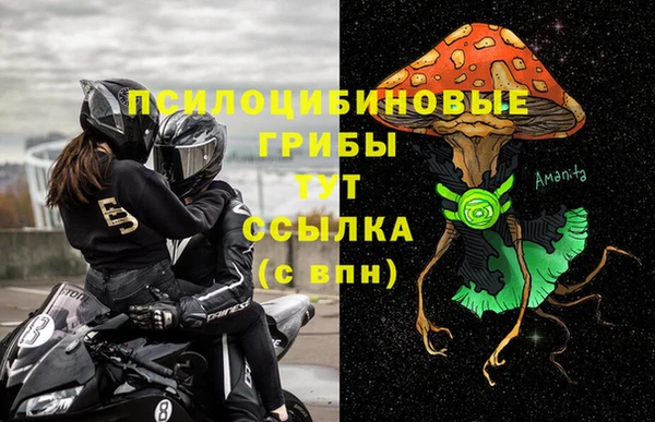 apvp Кинешма