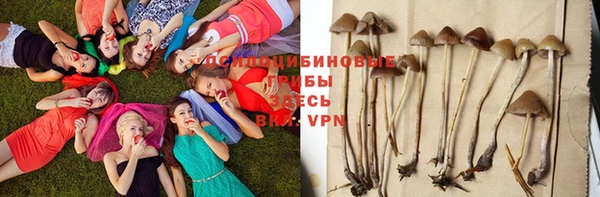 apvp Кинешма