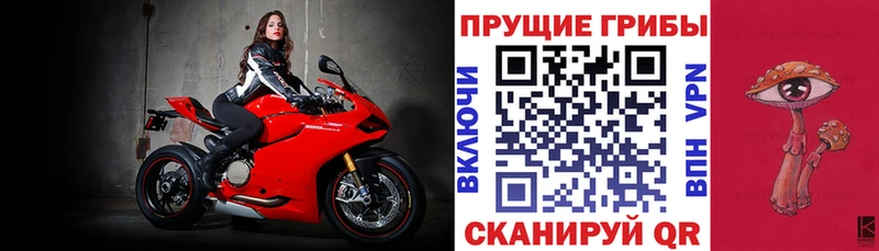 Псилоцибиновые грибы ЛСД  Купить закладки  Кувшиново 